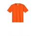 Safety Orange